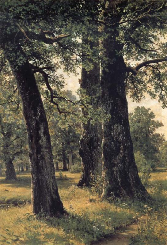 Oak, Ivan Shishkin